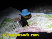/home//u458753944/public_html/sourcegallery//Roxborough Toad Detour/2013-2019/2017/P4110722.JPG